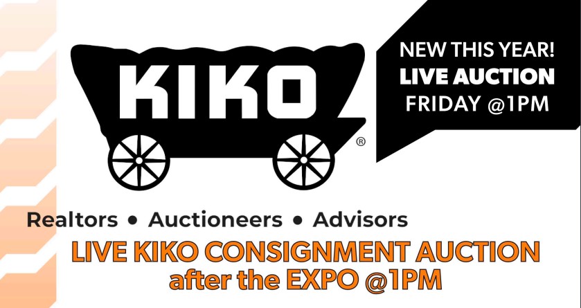 Kiko Auction Details