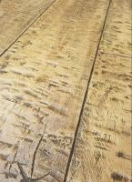 Proline Concrete Hand Hewn Timber Plank Stamp
