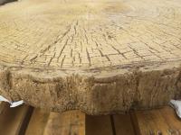 Proline Concrete Live Edge Wood Table Mold
