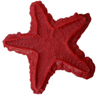 Proline Starfish Sculpted Accent