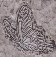 Proline Butterfly in Flight Sculpted Accent