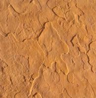 Proline Concrete Coarse Sandstone Seamless Skin