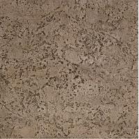 Proline Concrete Coquina Stone Seamless Skin