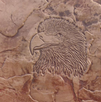 Proline Eagle Head Sculpted Accent