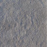 Proline Concrete Quartzite Seamless Skin