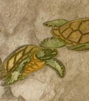 Matcrete Sea Turtles Border Accent Stamp