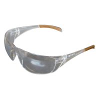 Carhartt Clear Lens Billings Safety Glasses