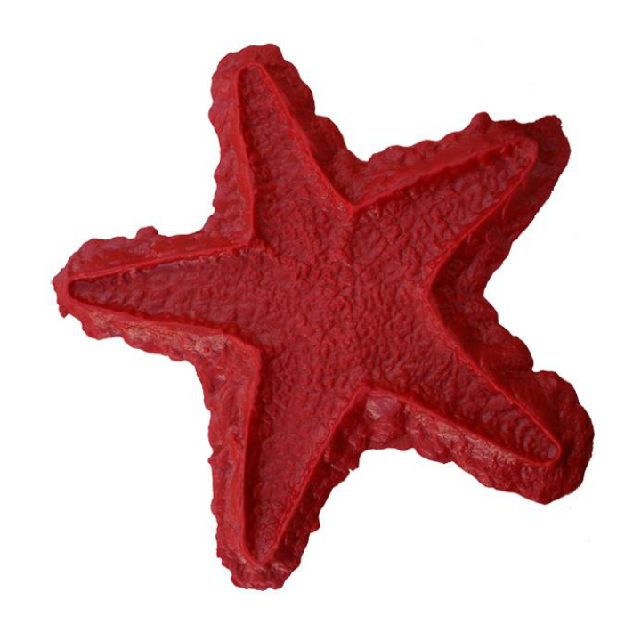 Proline Starfish Sculpted Accent